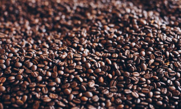 BLOG: From polyphenols to plant-based milks; the nutritional contents of a cappuccino