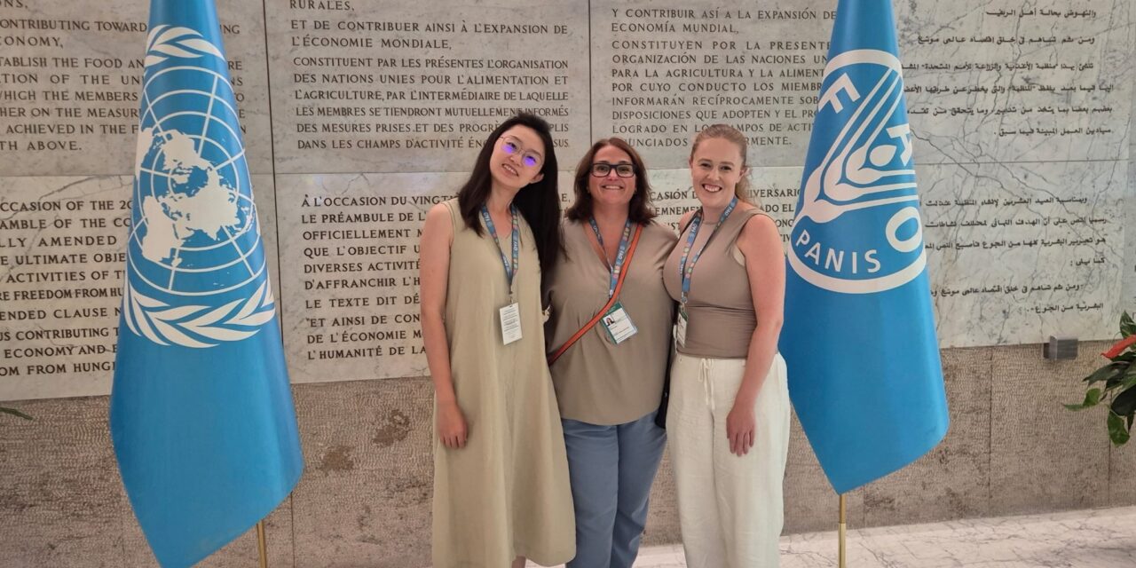 FAO, 14th International Data Conference, Rome