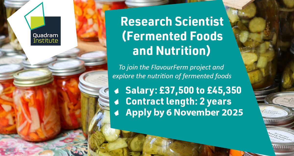 Come and Join our Team