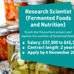 Come and Join our Team