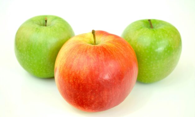 Full of fibre and bioactives; analysing the nutritional composition of apples