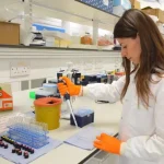 Exploring the relationship between food structure, fermentation and gut health in plant-based foods